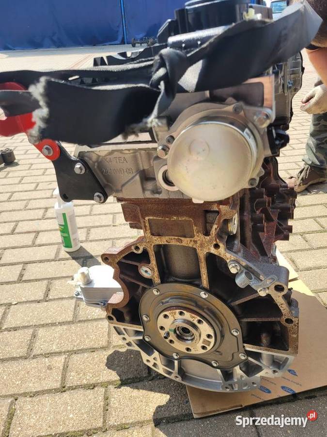 Silnik Ford Transit BLFB BLHA BLRA NOWY mazowieckie Radom sprzedam