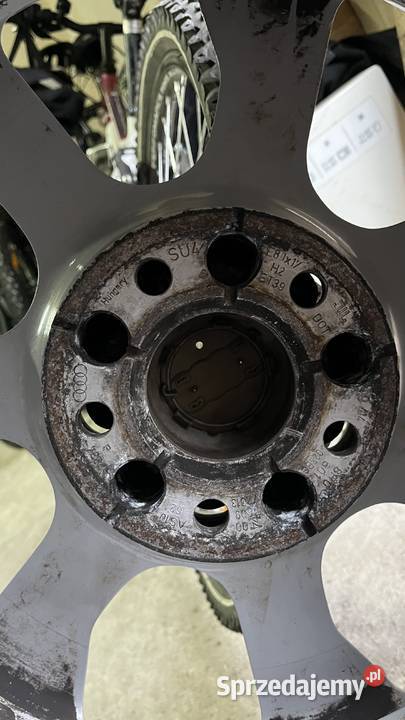 Flagi Audi opony zachodniopomorskie