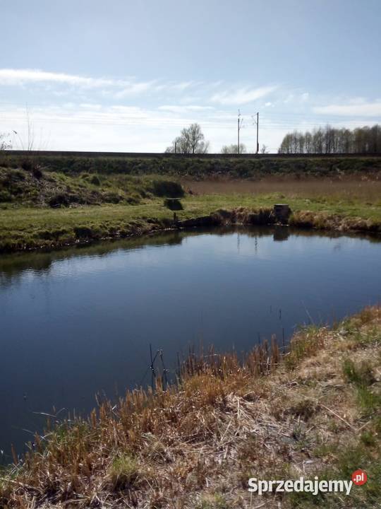 Przestronny dom z dużą działką stawem w Rzepin