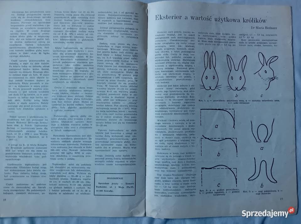 Hodowca Drobnego Inwentarza 10 1983 r