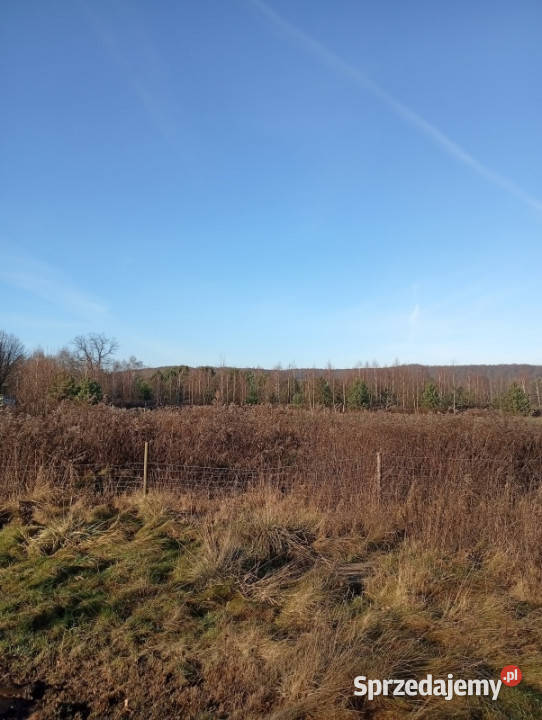 Sprzedam działkę budowlaną Ludwinów