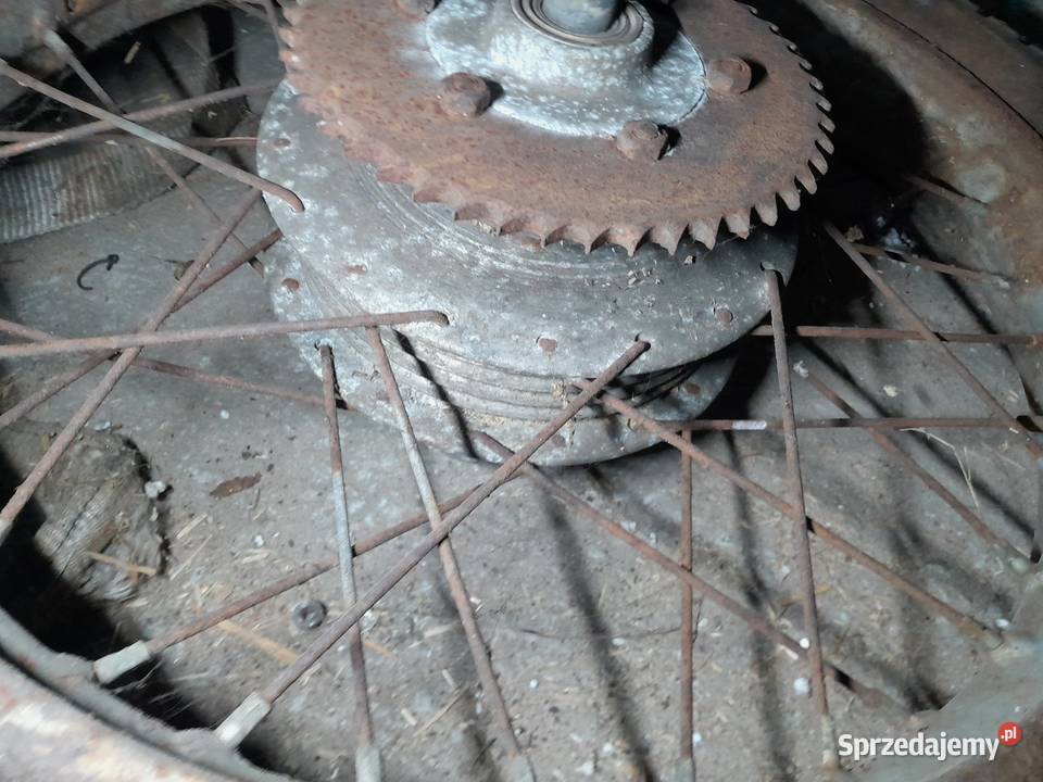 Shl kolo tyl tylne 19 Czajków