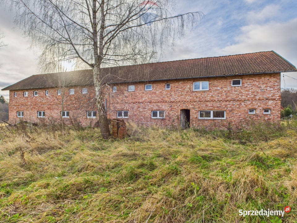 Dwa domy duża działka Mazury dojazd asfaltowy Olkowo