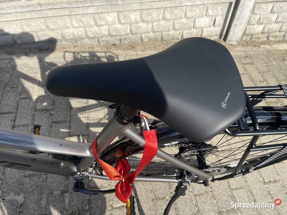 Rower Unibike Flash 19 wielkopolskie