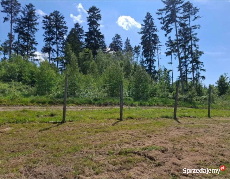 WIELORODZINNA działka Kudowa Zdrój pod siatka Kudowa-Zdrój