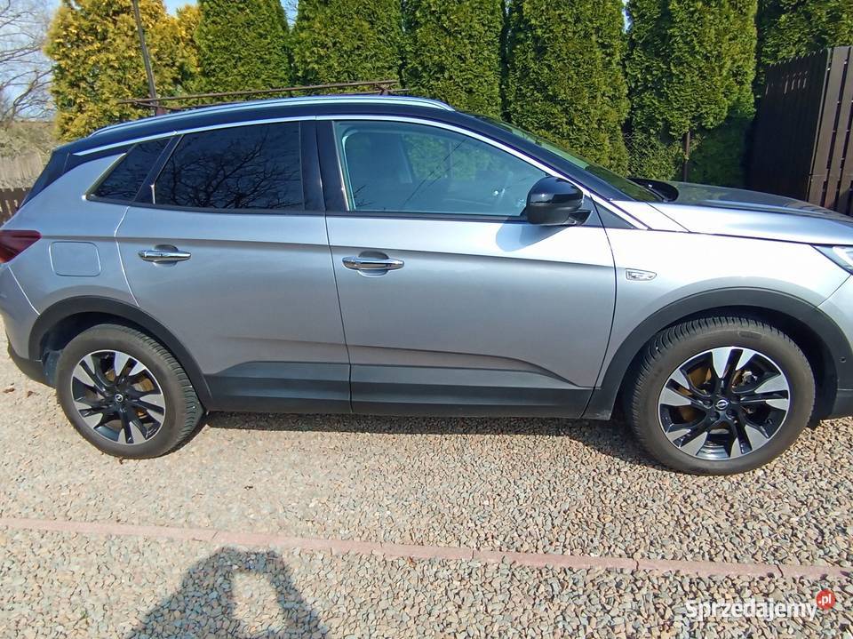 OPEL GRANDLAND X nieuszkodzony podkarpackie Dębica