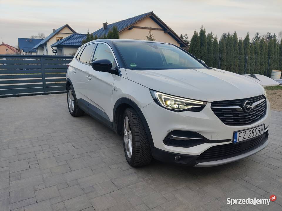 Sprzedam Auto Opel Grandland X bogato wyposażony Rok produkcji 2019 Zielona Góra