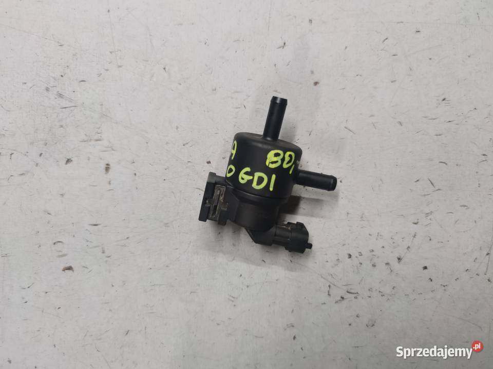 Zawór podciśnienia Hyundai 10 TGDI 2901004100 świętokrzyskie