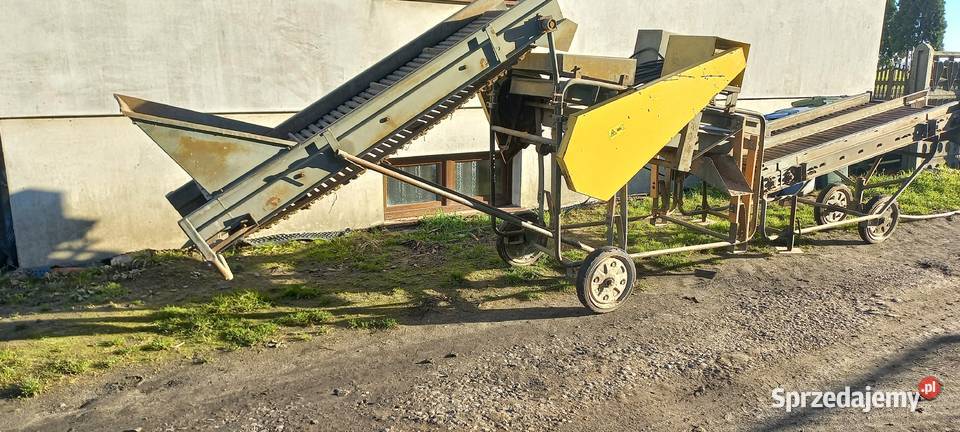 Sortownik do ziemniaków pucki Kalisz