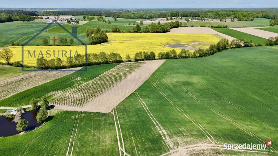 Działka lesie 15 min Iławy i Jezioraka Gulb sprzedam