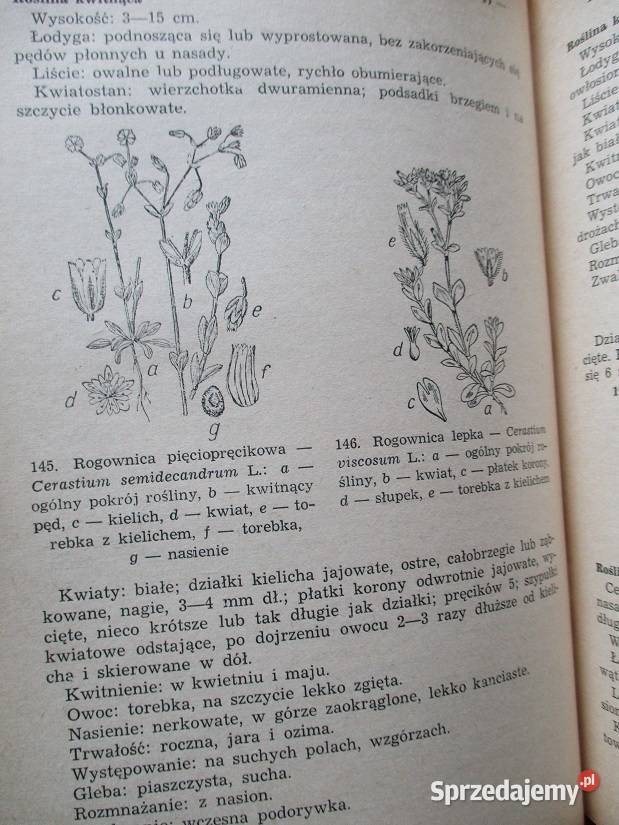 Krajowe chwasty polne i ogrodowe Mowszowicz 1955 chemia, biochemia