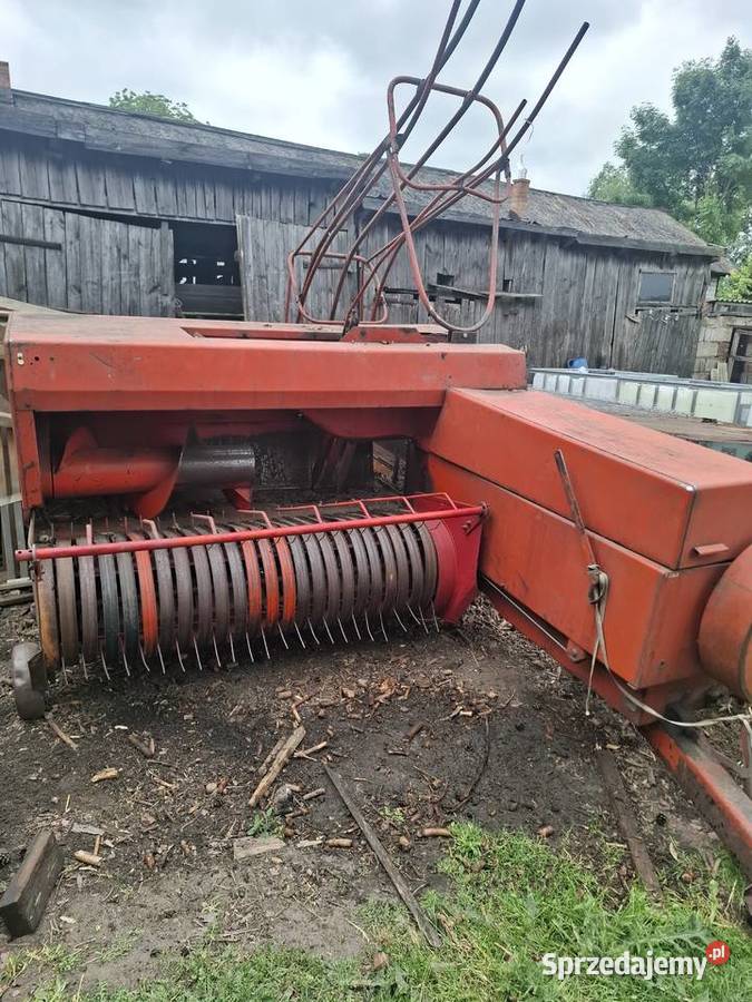 Sprzedam prase z 224 łódzkie Osiny sprzedam