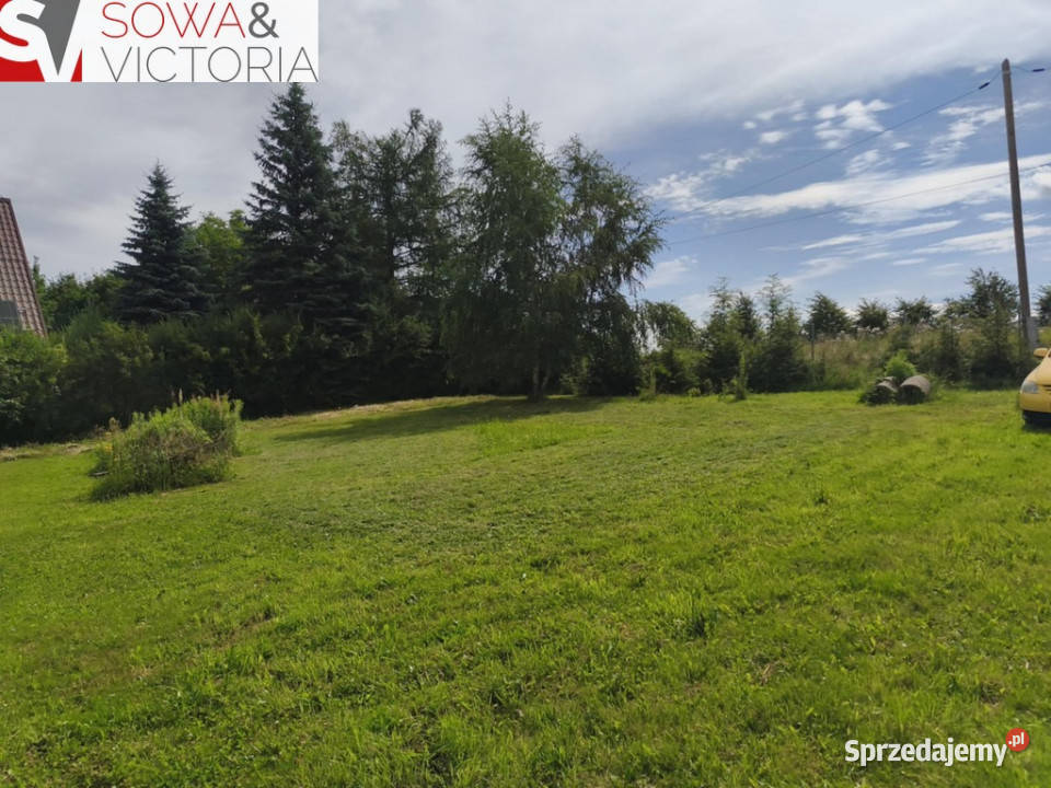 Zagospodarowana działka z sadem prąd na działce Dziećmorowice sprzedam