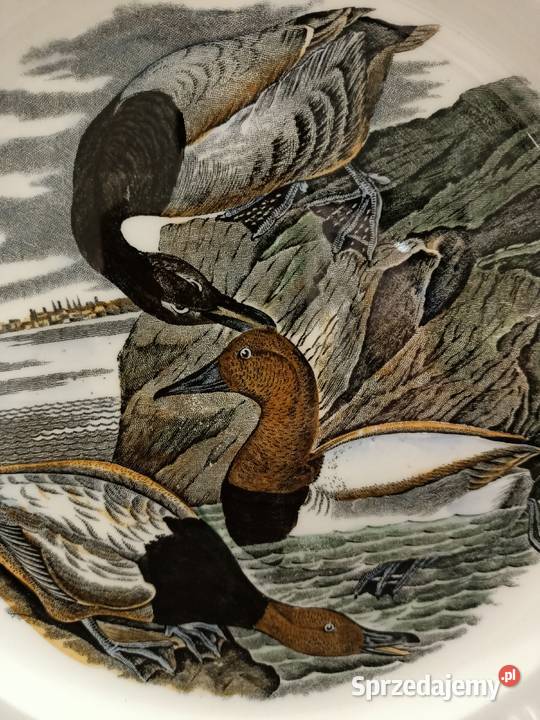 Talerz obiadowy burda America ilustra AUDUBONA Zamość