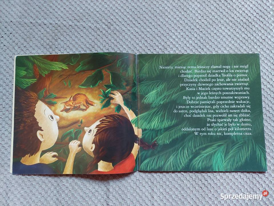 ekobajka Dlaczego zwierzęta opuściły las Kraków