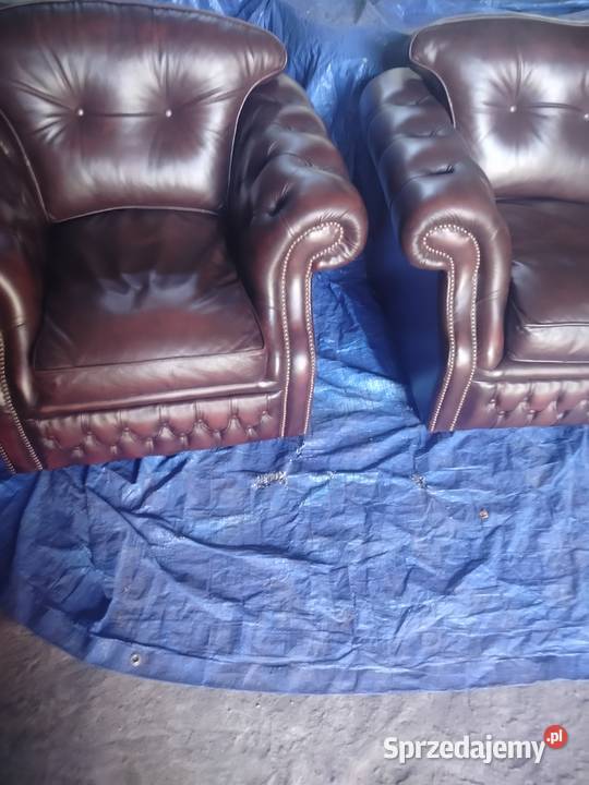 Chesterfield angielski Biała Podlaska