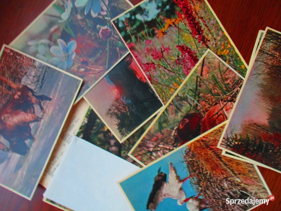 Kalendarze Przyjaciółki1985 1990 Przyjaciółka Łódź