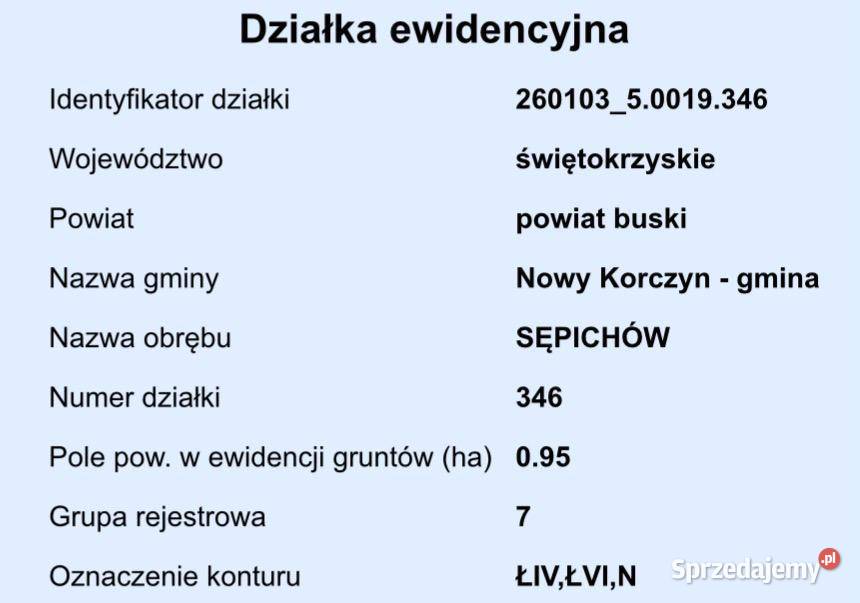 Łąka w Sępichowie gm Nowy Korczyn Sprzedaż