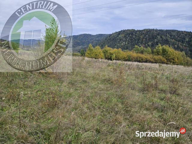 Ogłoszenie działka 1000m2 Kamienica małopolskie