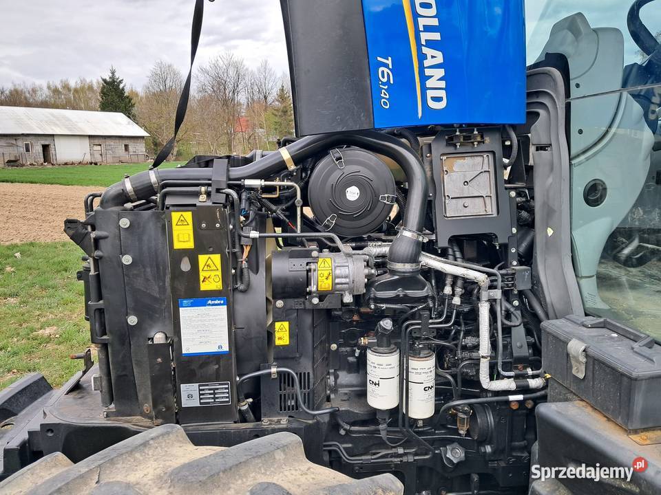 Holand nie Case Straszęcin