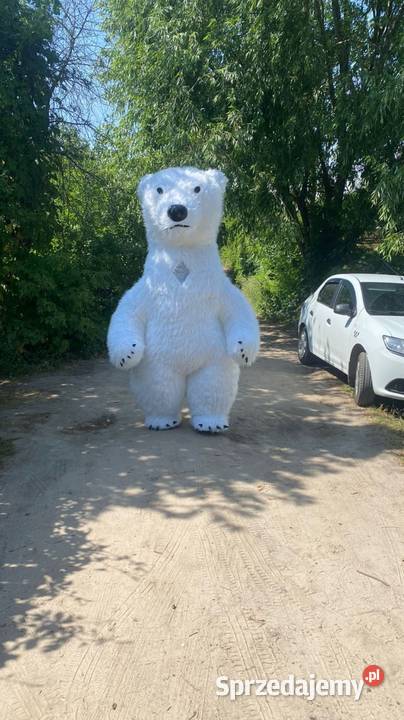 Wielki dmuchany kostium Misia na imprezę pomorskie Gdańsk