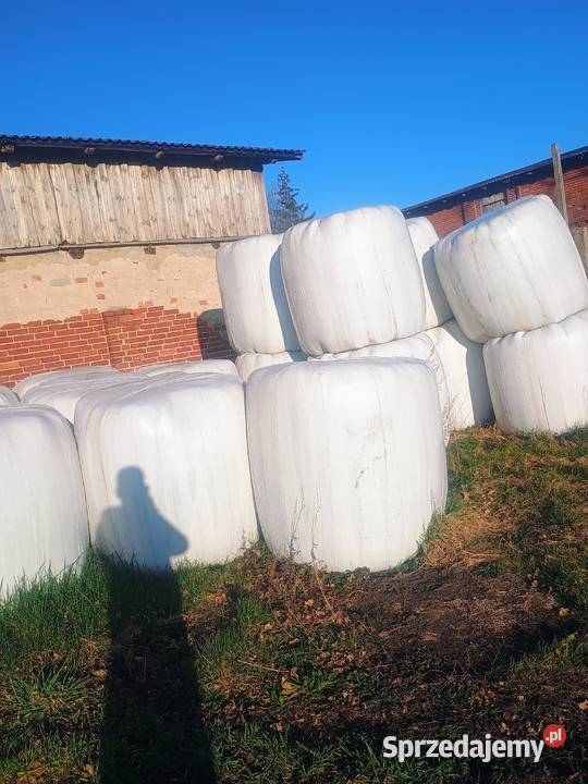 Sianokiszonka zachodniopomorskie Jazy sprzedam