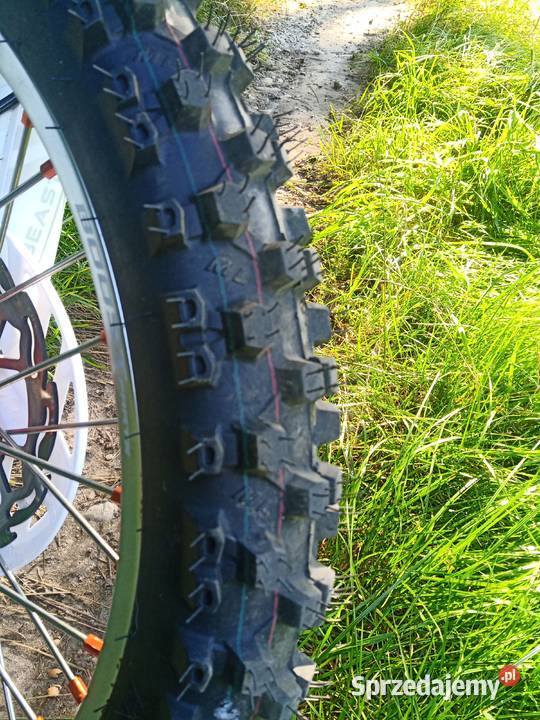 Asix xr99 Biadoliny Radłowskie