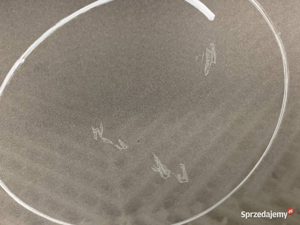 DRZWI LEWY PRZÓD FORD FIESTA MK6 Hatchback 0114 osobowe