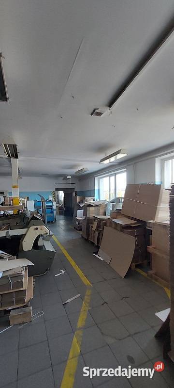Syndyk sprzeda Zakład Produkcyjny WGnatowski w Sprzedaż mazowieckie Ławy