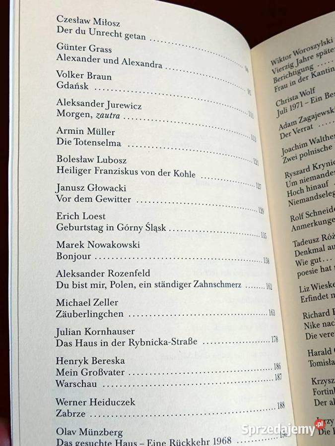 NNach den Gewittern Ein PolnischDeutsches Proza i poezja Warszawa