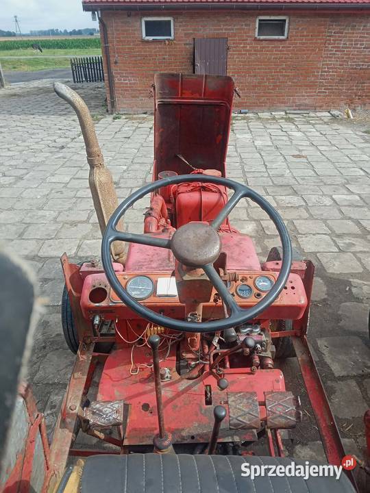 Sprzedam t25 Gęś