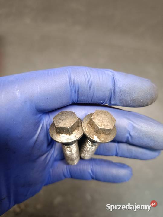 Śruba śruby mocowanie zacisk hamulcowy przód Gołaczewy