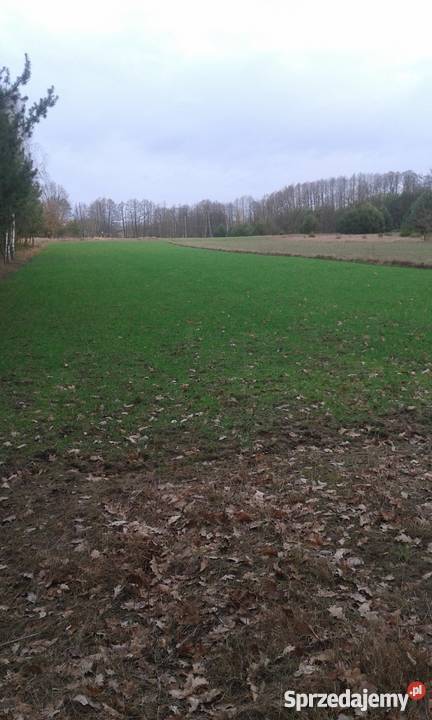 spokojne miejsce mazowieckie Arciechówek