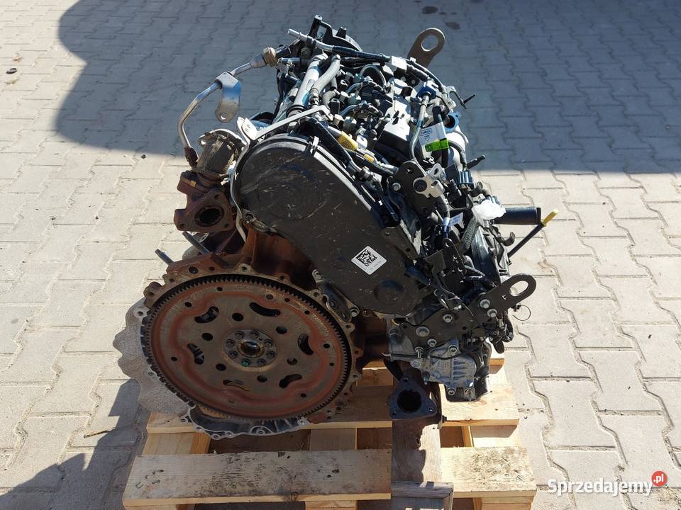 Ford Ranger VI 6 2024r SILNIK Kompletny egine 30