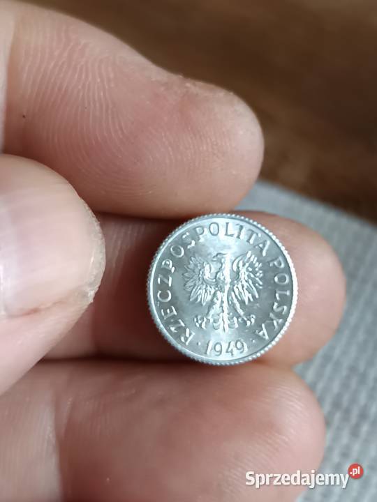 Sprzedam 1 grosz 1949 r Chełm