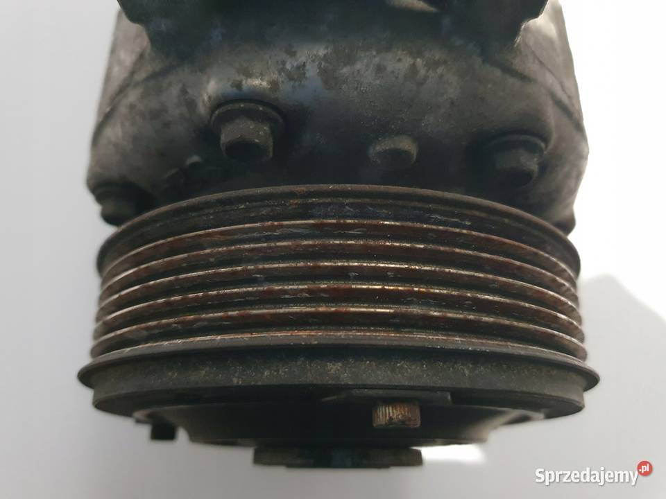 SPRĘŻARKA KLIMATYZACJI VW Golf V Passat B6 19 osobowe Kompresory klimatyzacji Chełm
