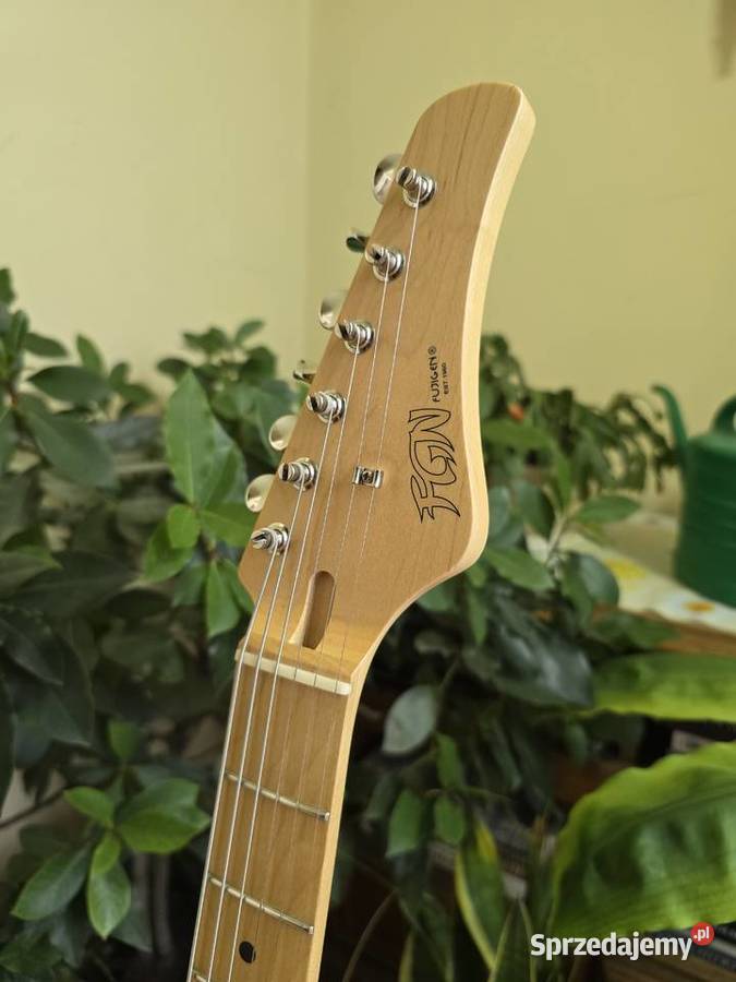 Gitara FGN Boundary ILIAD FujiGen JAPAN