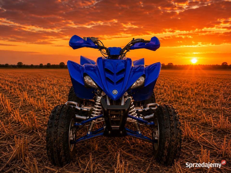 Yamaha Raptor 350 Wielgie