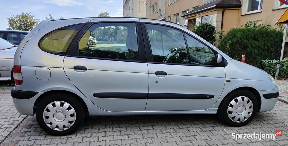 Renault Scenic Piotrków Trybunalski