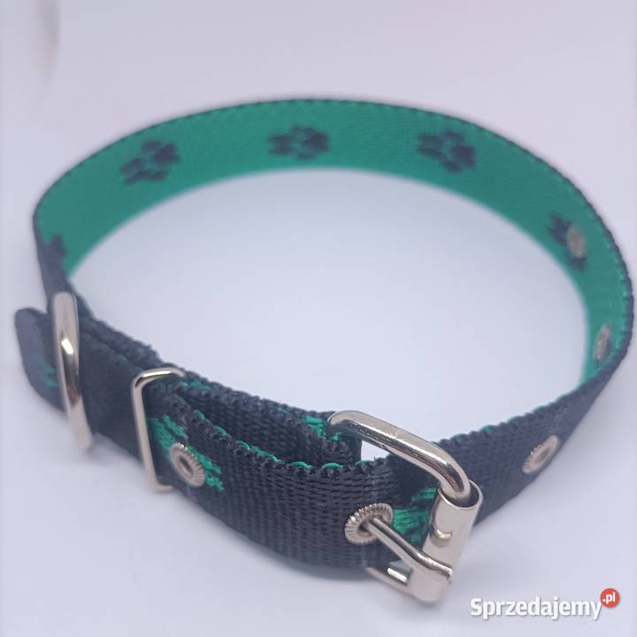 Obroża psa 25mm80 Gorzów Wielkopolski sprzedam