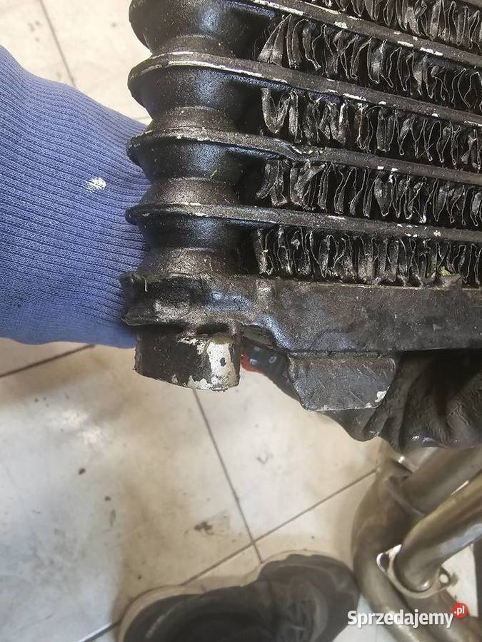 Suzuki gsf 600 chłodnica oleju chłodniczka Jelenia Góra