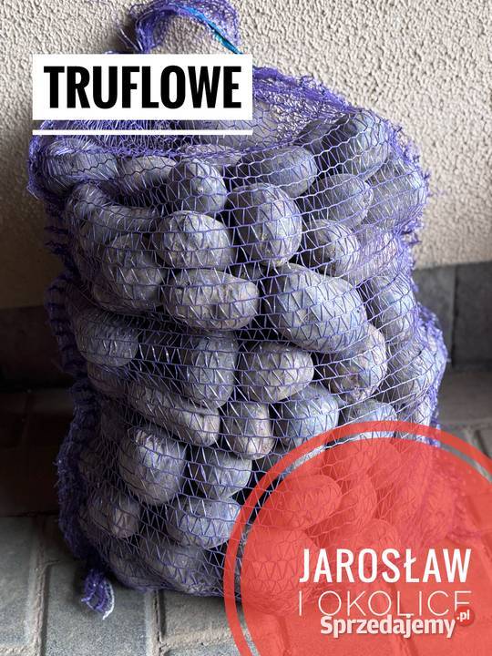 Sprzedam ziemniaki odmiana Bellarosa Baltic Rose Jarosław