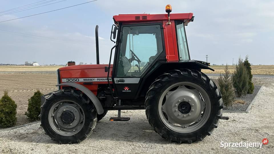 Massey Ferguson 3050 Włocławek sprzedam