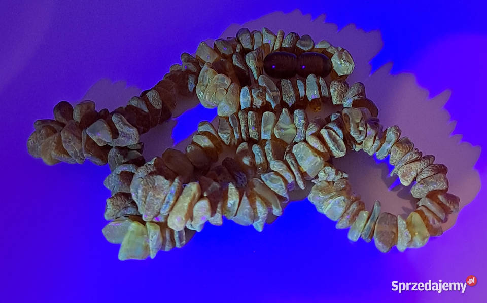 Korale z bursztynu BURSZTYN bałtycki sieczka Warszawa sprzedam