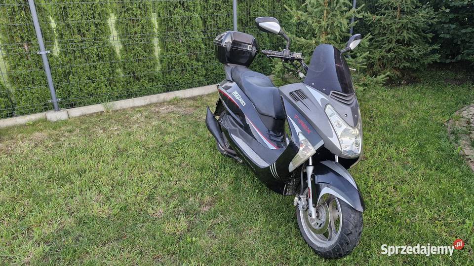 Skuter Moto Magnus trex 50 manualna Moto Magnus Przasnysz