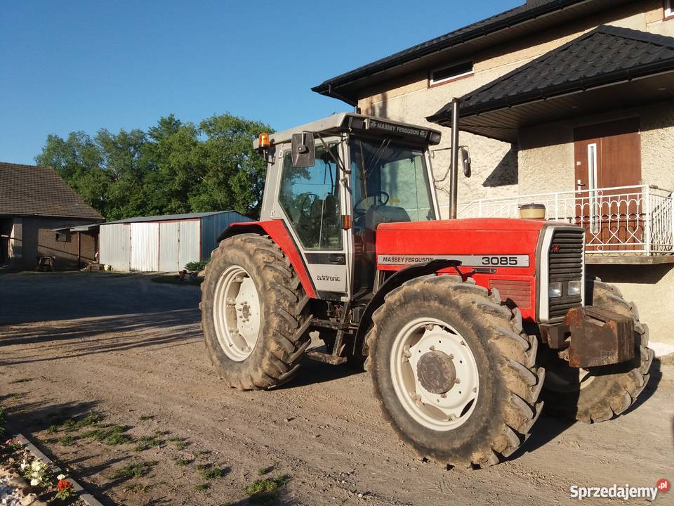 Massey Ferguson 3085 Kolonia Pęcławska