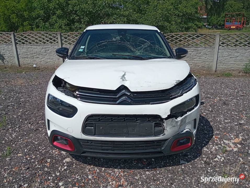 C4 cactus 12 automat wielkopolskie Margonin sprzedam