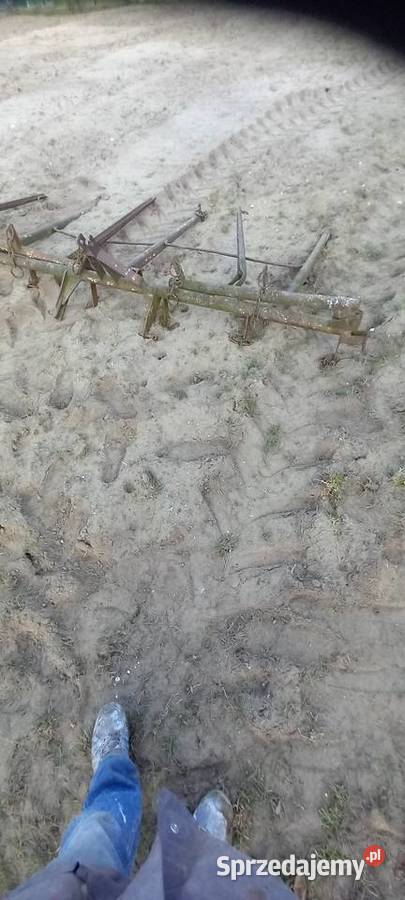 Brony piątki 2 Pozostałe Płońsk