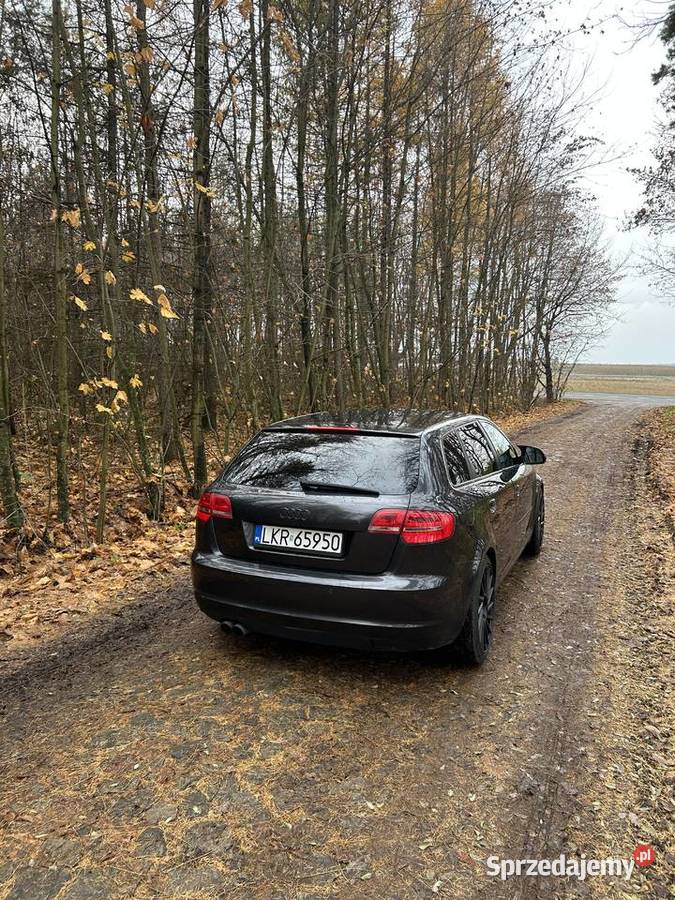 Audi A3 8p 18 TFSI centralny zamek lubelskie Dzierzkowice-Wola