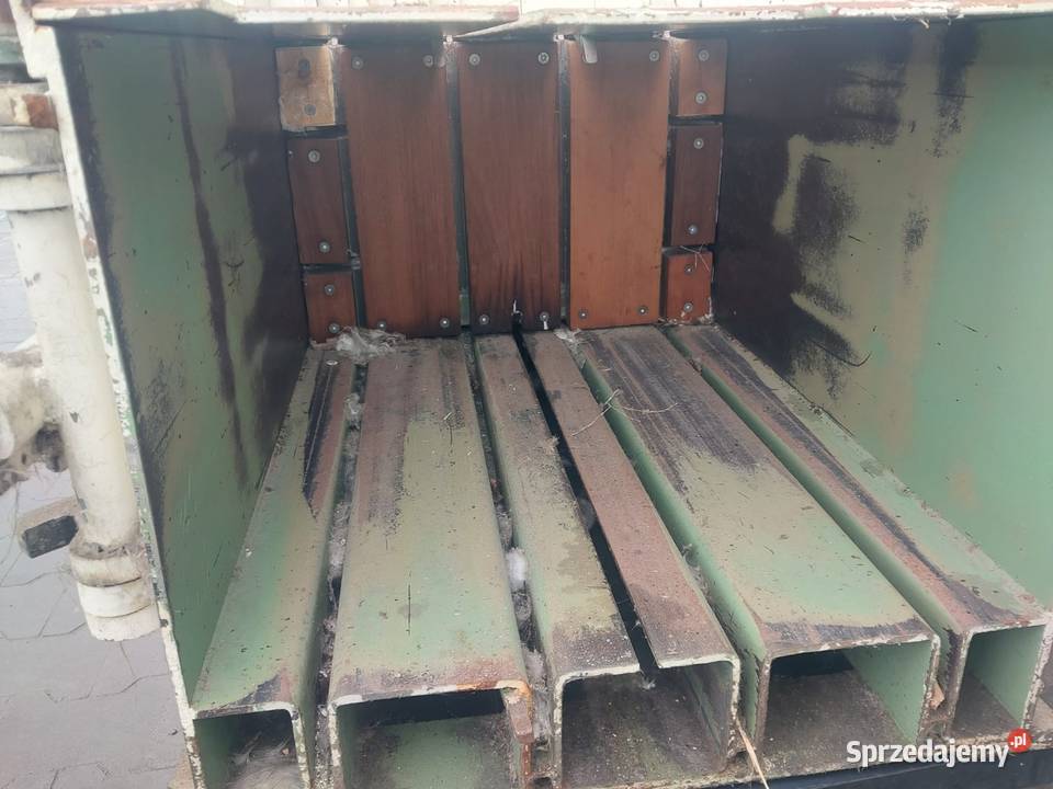 belownica pozioma Sośno